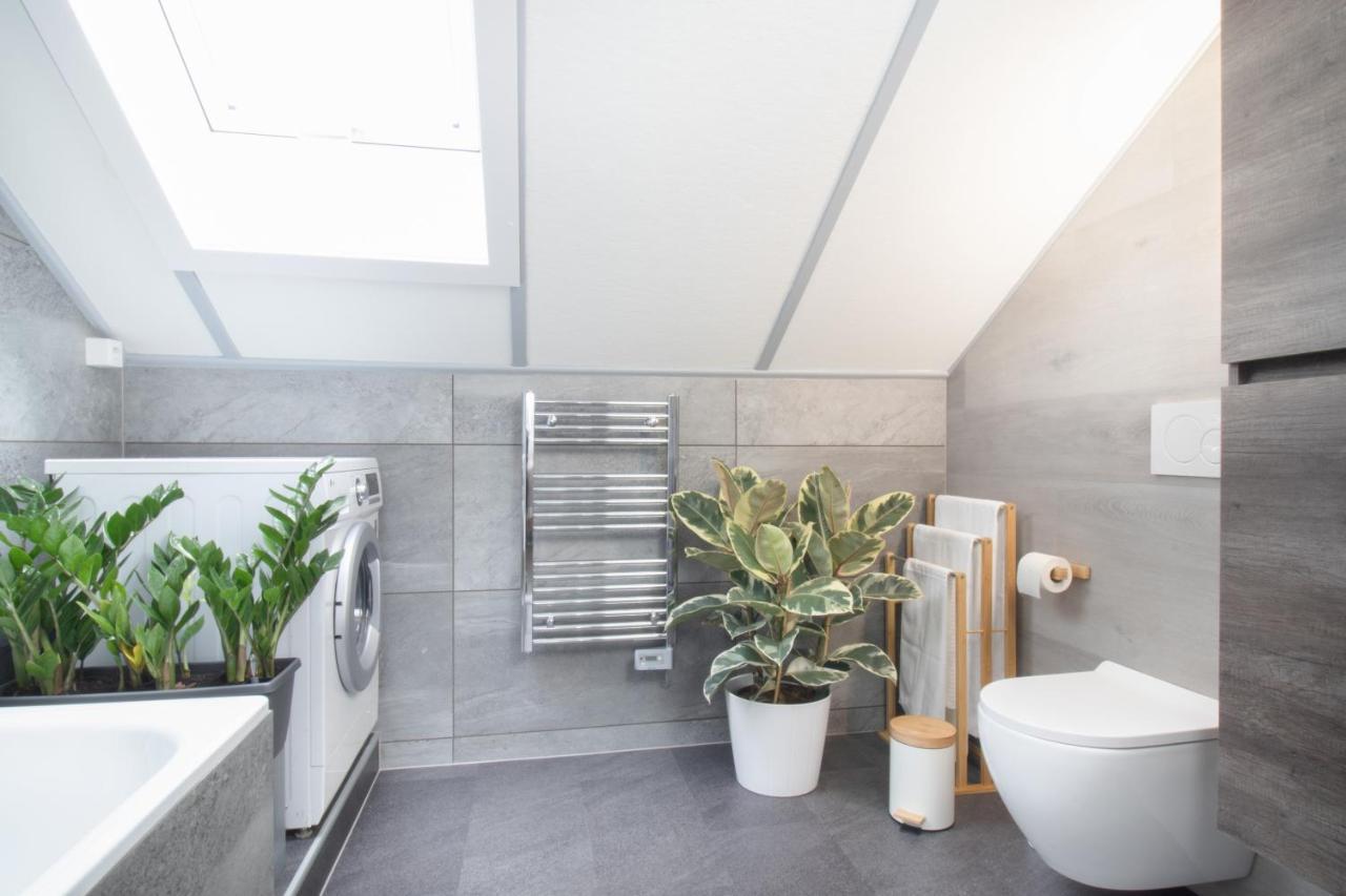 Loewe Apartment Blau Neuhausen Am Rheinfall Ngoại thất bức ảnh